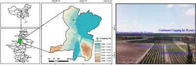 Impact of wine-grape continuous cropping on soil enzyme activity and the composition and function of the soil microbial community in arid areas